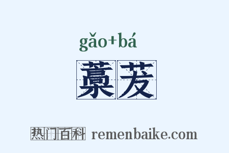 藁茇是什么意思的图片